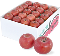 もぎたての新鮮なりんご